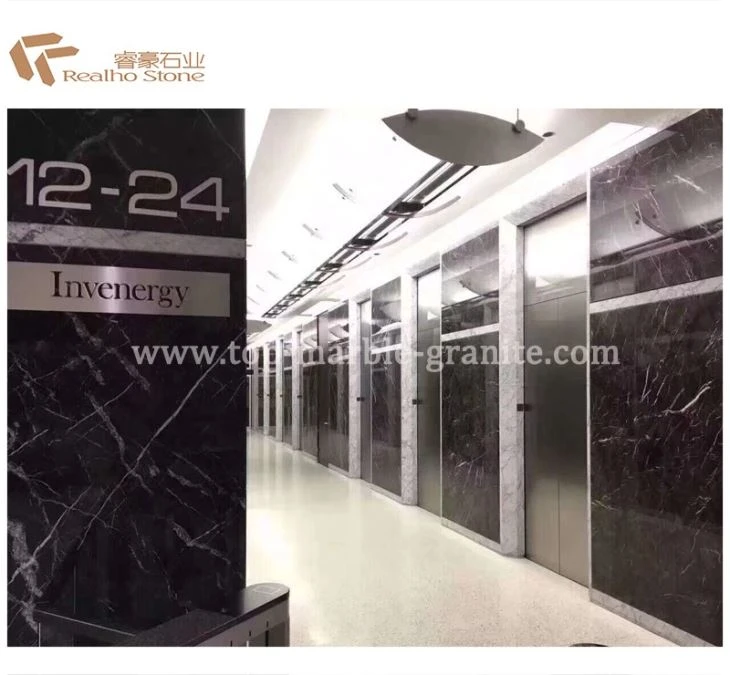 Grigio Carnico Marble wall