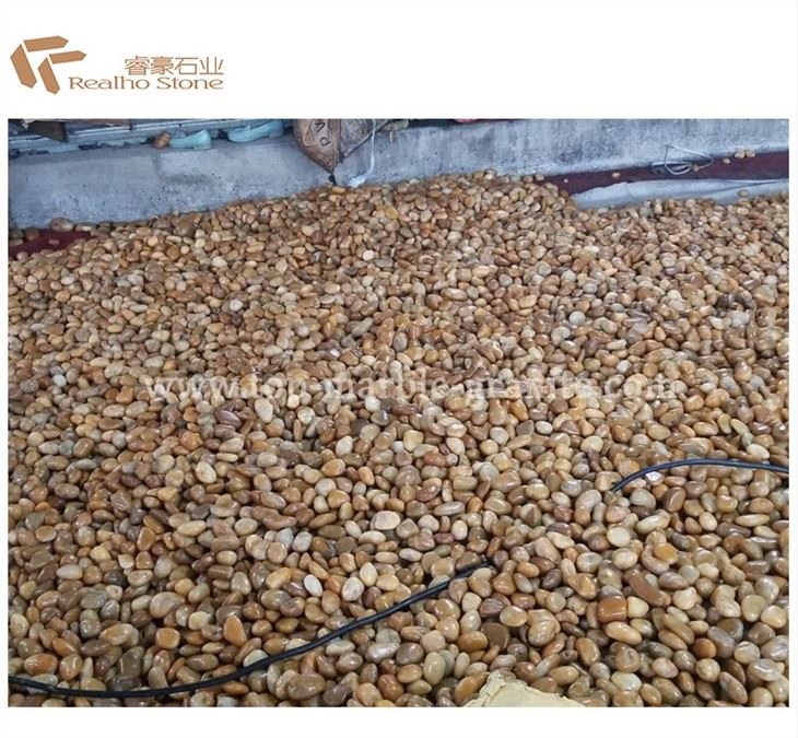 nature river stone